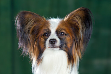 Similar image 739827