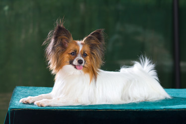 Similar image 739830