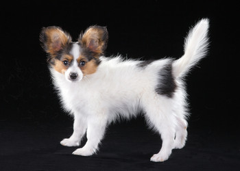 Similar image 739833