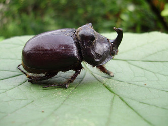 Similar image 739842