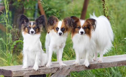 Similar image 739871