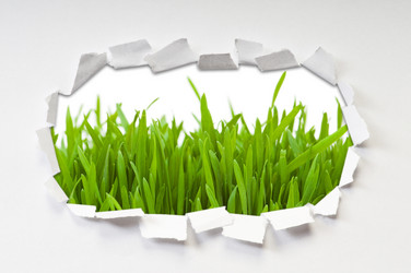 Similar image 739879