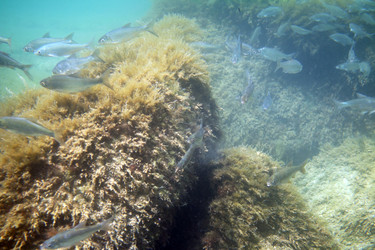 Similar image 739881