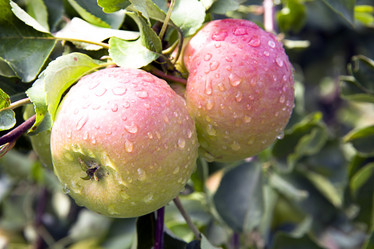 Similar image 739883