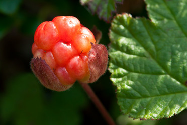 Similar image 739939