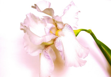 Similar image 739981