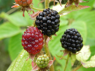 Similar image 740035