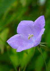 Similar image 740132