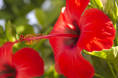 Similar image 740190