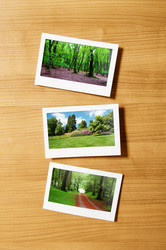 Similar image 740205