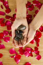 Similar image 740250