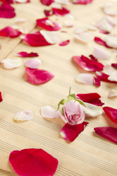 Similar image 740260