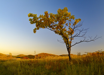 Similar image 740302