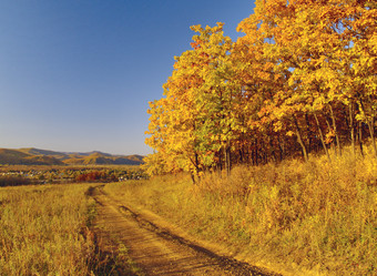 Similar image 740313