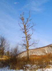 Similar image 740314