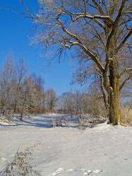 Similar image 740322