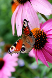 Similar image 740327