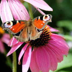 Similar image 740328