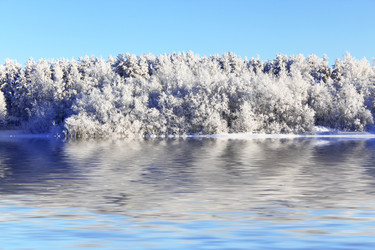 Similar image 740333