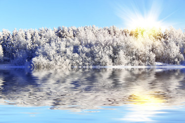 Similar image 740334