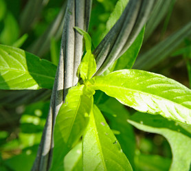 Similar image 740357