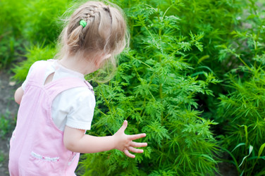 Similar image 740380