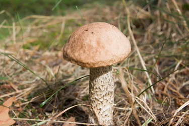 Similar image 740407