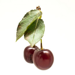 Similar image 740410