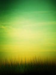 Similar image 740413