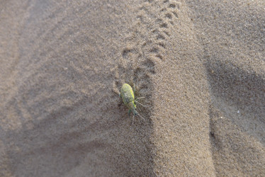 Similar image 740446