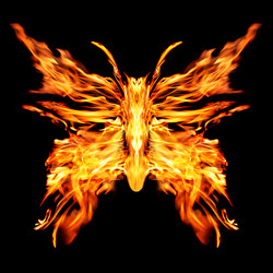 Similar image 740457