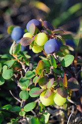 Similar image 740468