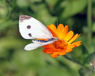 Similar image 740523