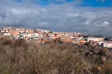 Similar image 740526