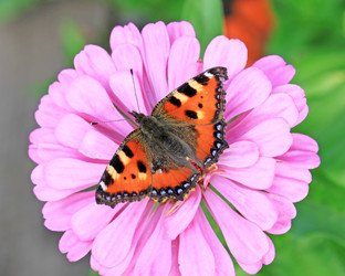 Similar image 740532