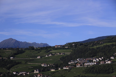 Similar image 740635