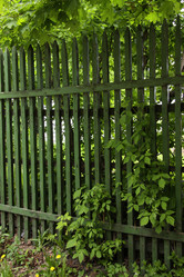 Similar image 740643