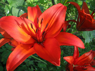 Similar image 740680