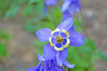 Similar image 740688