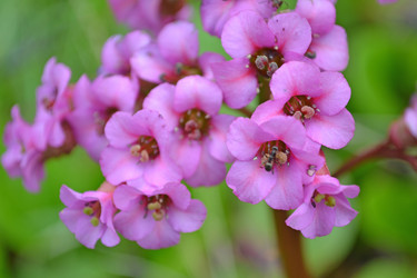 Similar image 740689