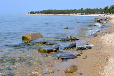 Similar image 740692