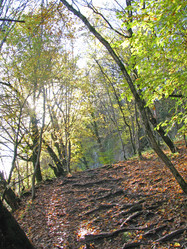 Similar image 740696