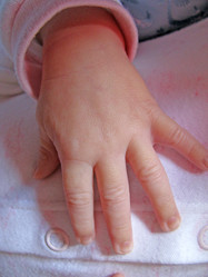 Similar image 740704