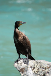 Similar image 740723