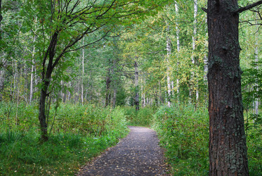 Similar image 740732