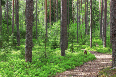 Similar image 740736