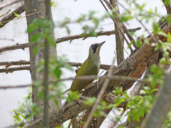 Similar image 740745