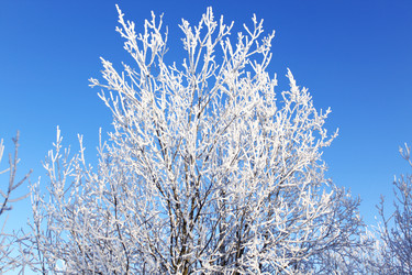 Similar image 740752