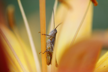 Similar image 740756