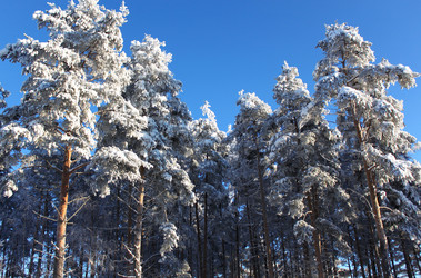 Similar image 740760